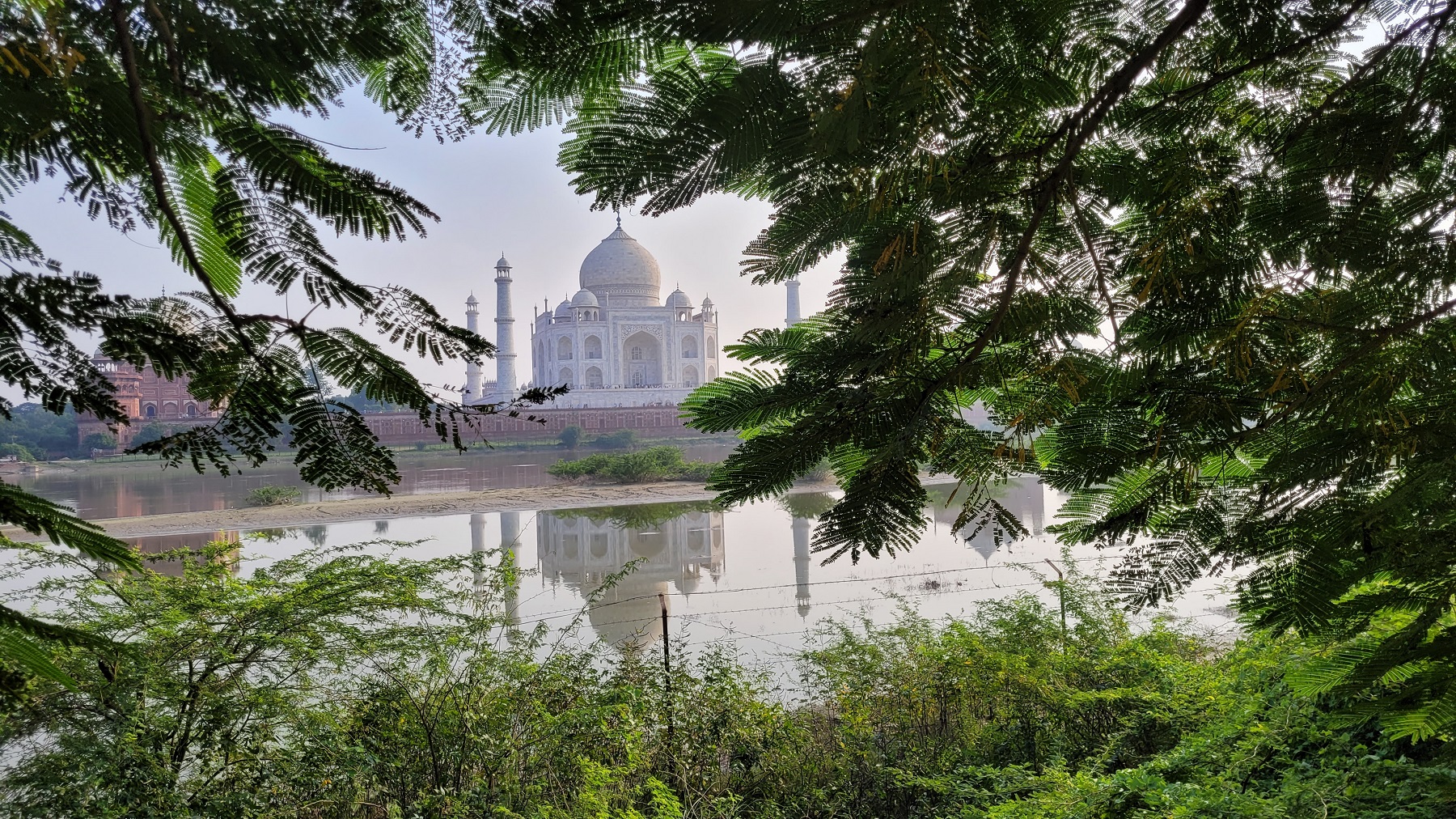 Taj Mahal photo from Mehtab Garden